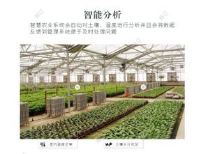 深圳市赛亿科技农业种植物联网解决方案 助推智慧农业发展