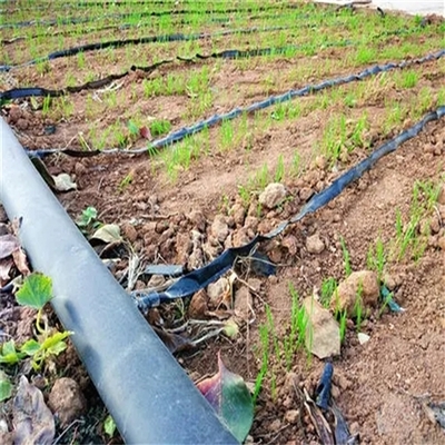 滴灌带技术与农业种植革新——以聊城润源微喷带厂为例