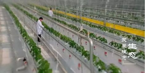 发展好设施农业 助力乡村振兴发展 农业种植技术开发