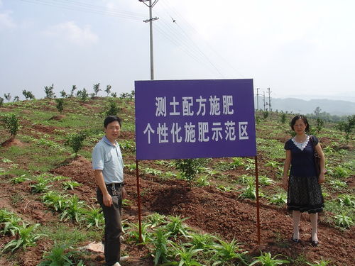 四川省农业科学院遥感应用研究所与国家现代农业产业技术体系四川创新团队柑桔栽培技术岗位专家联合简报 农业种植技术开发新进展