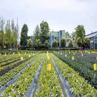 物联网农业远程智能控制 开启温室大棚种植新时代