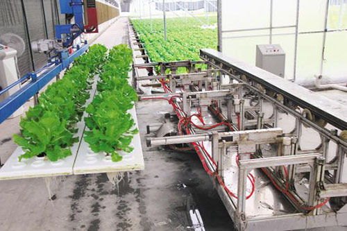 双创驱动下的未来农业 科技种植技术引领农业农村新变革